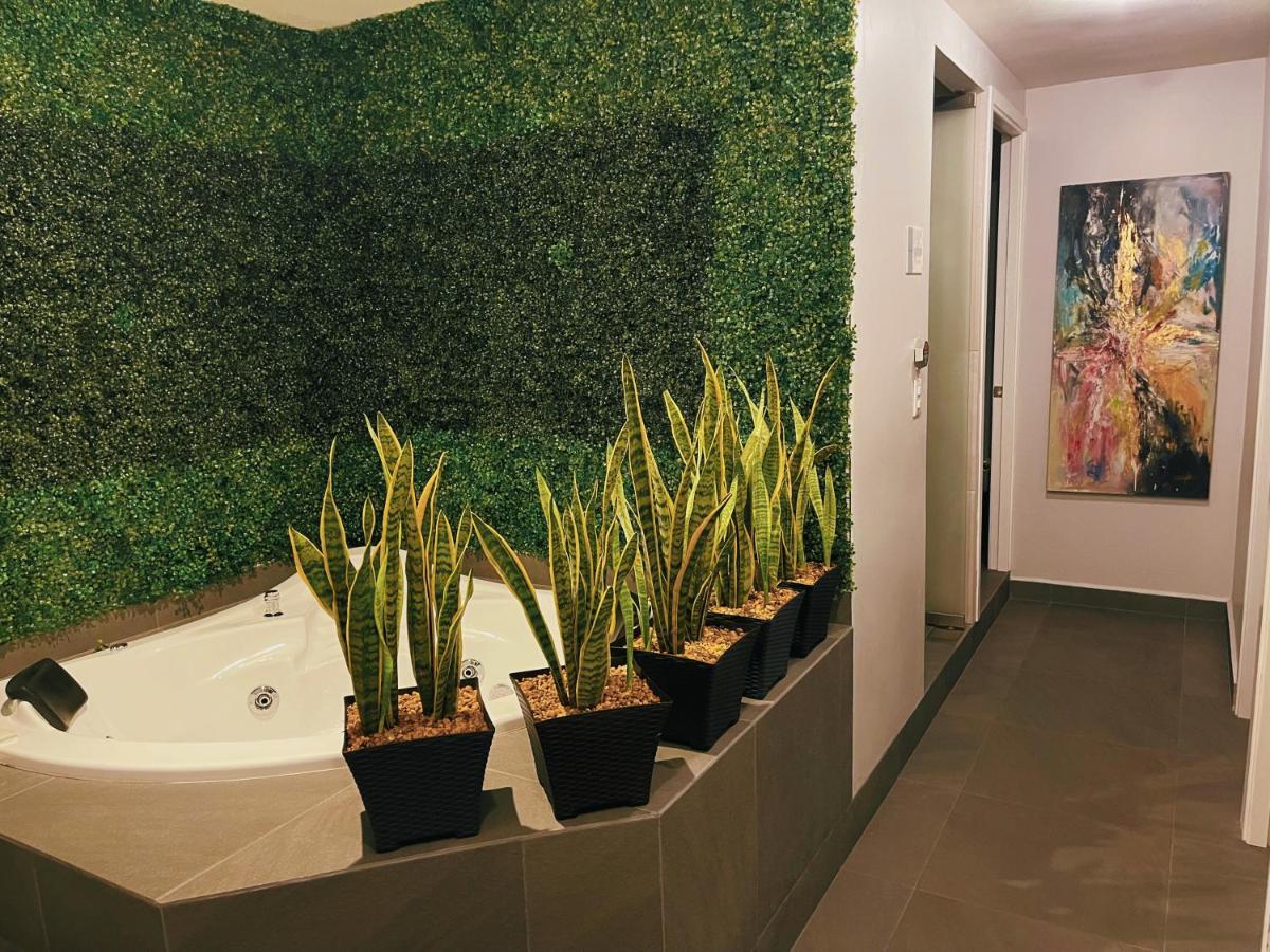 Suites Layfer, Cordoba, Veracruz, Mexico Екстериор снимка